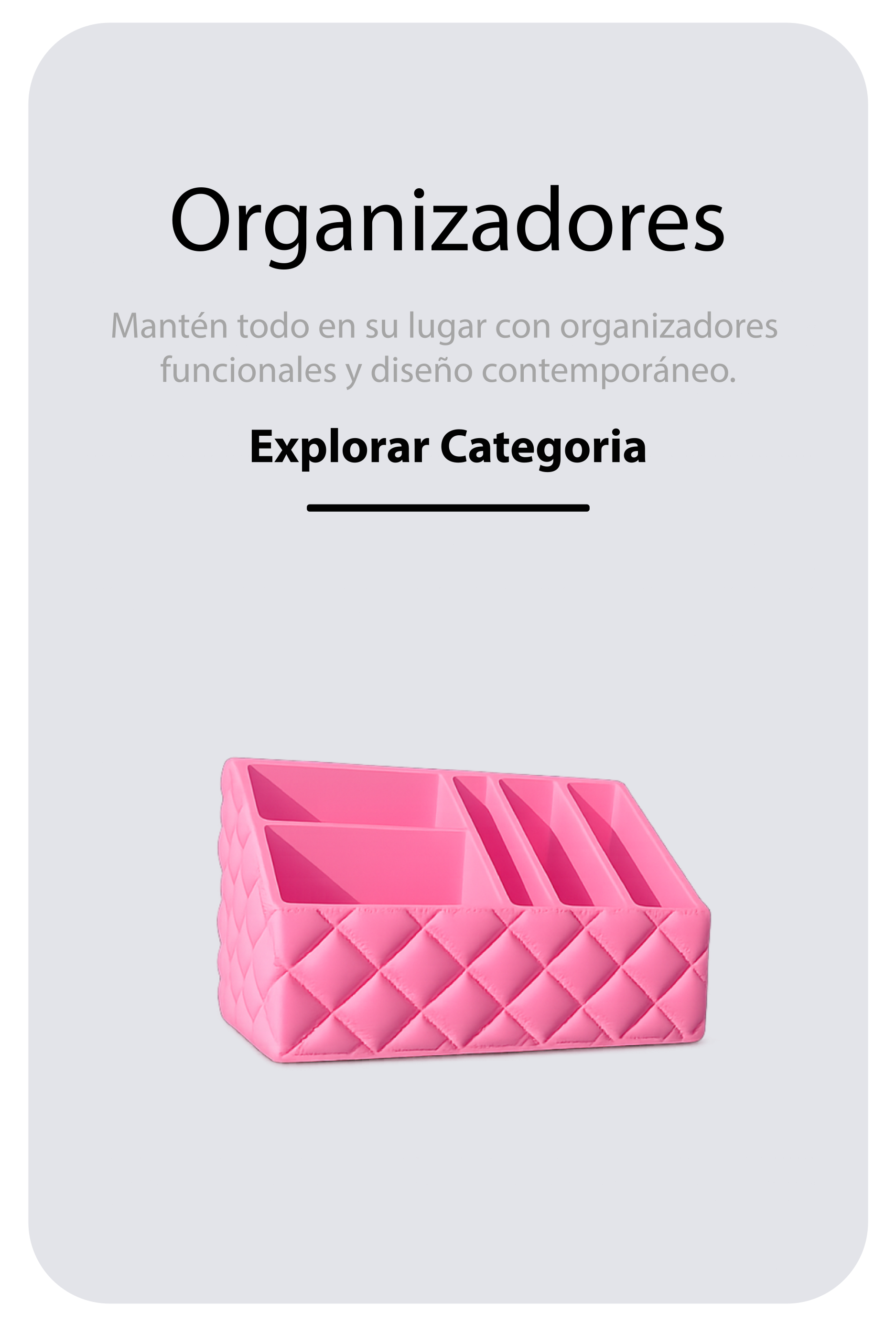Organizadores